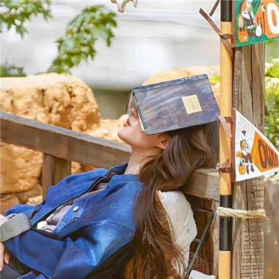 摩斯探长第八季
